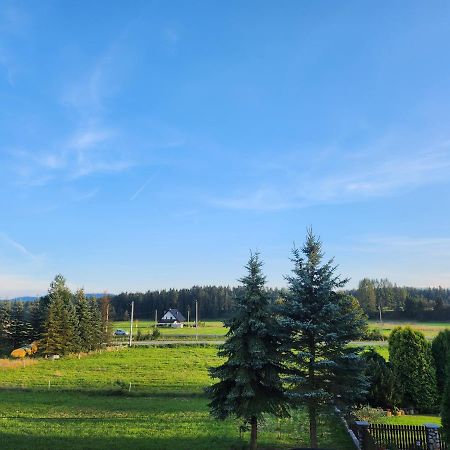 Apartament U Irenki Harklowa Bagian luar foto